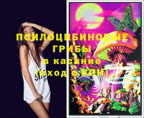прущая мука Аркадак