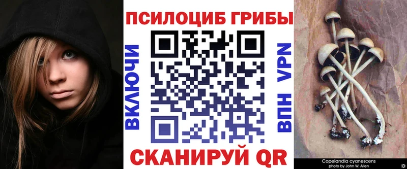 Галлюциногенные грибы ЛСД  где купить наркотик  Сухой Лог 