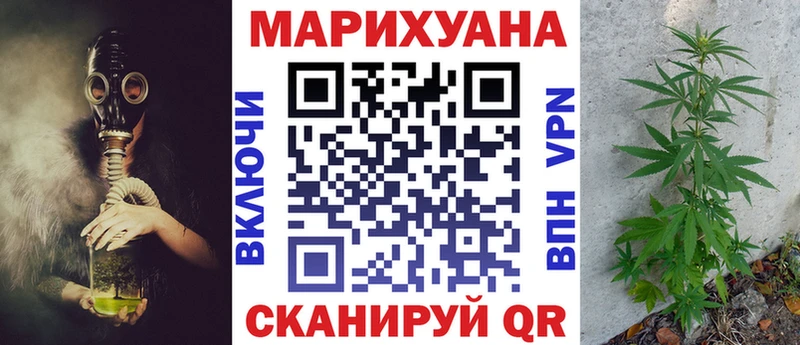 как найти   Сухой Лог  Конопля THC 21% 